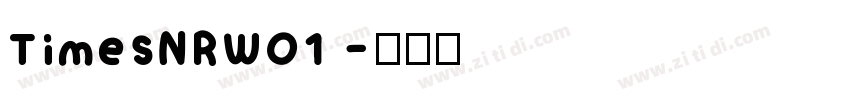 TimesNRW01 字体转换